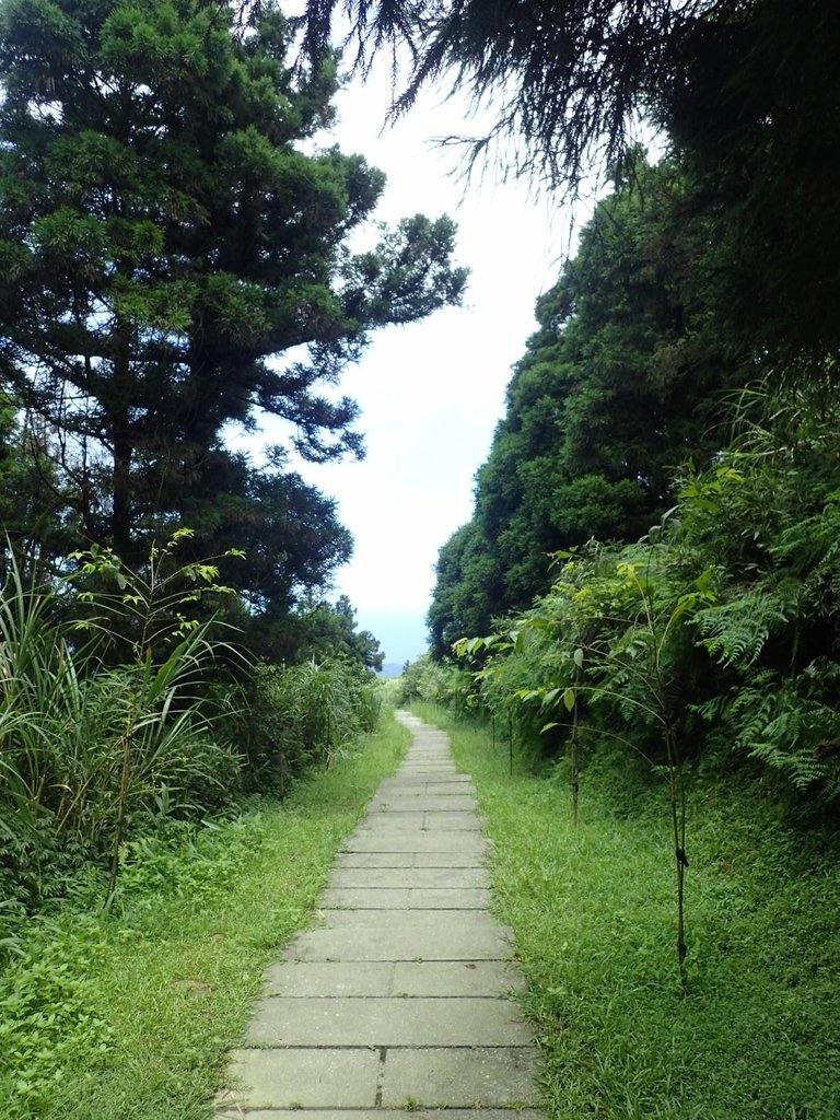 P7203853.JPG - 平溪  五分山登山步道