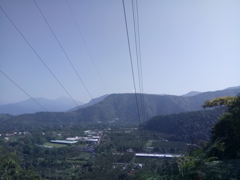 DSC_4014.JPG - 魚池  過坑山登山步道