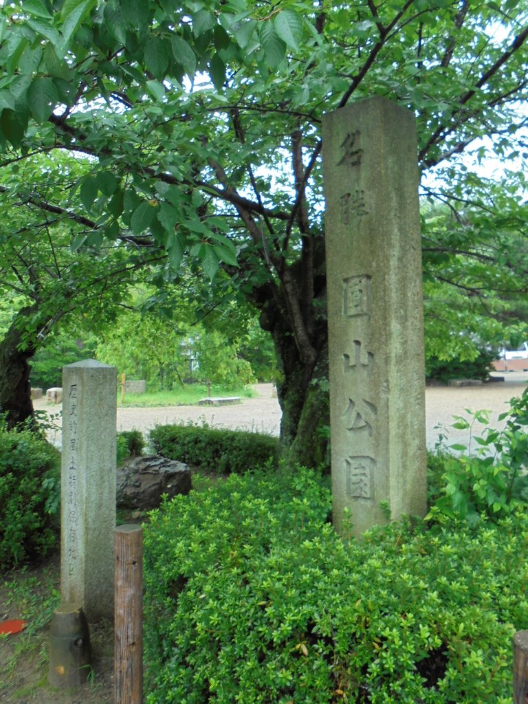 DSC04033.JPG - 京都  圓山公園  一隅