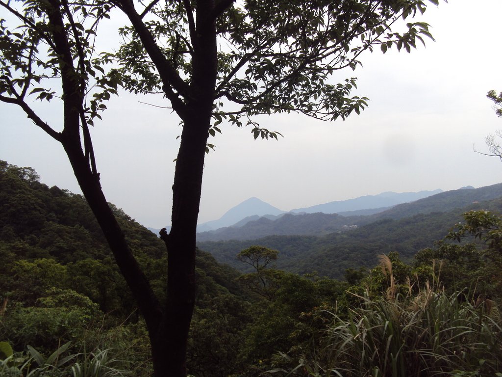 DSC07612.JPG - 瑞芳  粗坑口登山步道