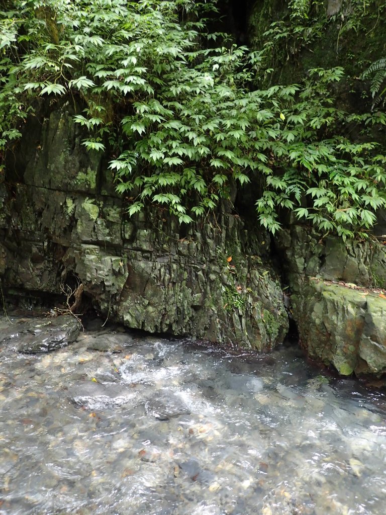 P9127728.JPG - 礁溪  林美石磐步道