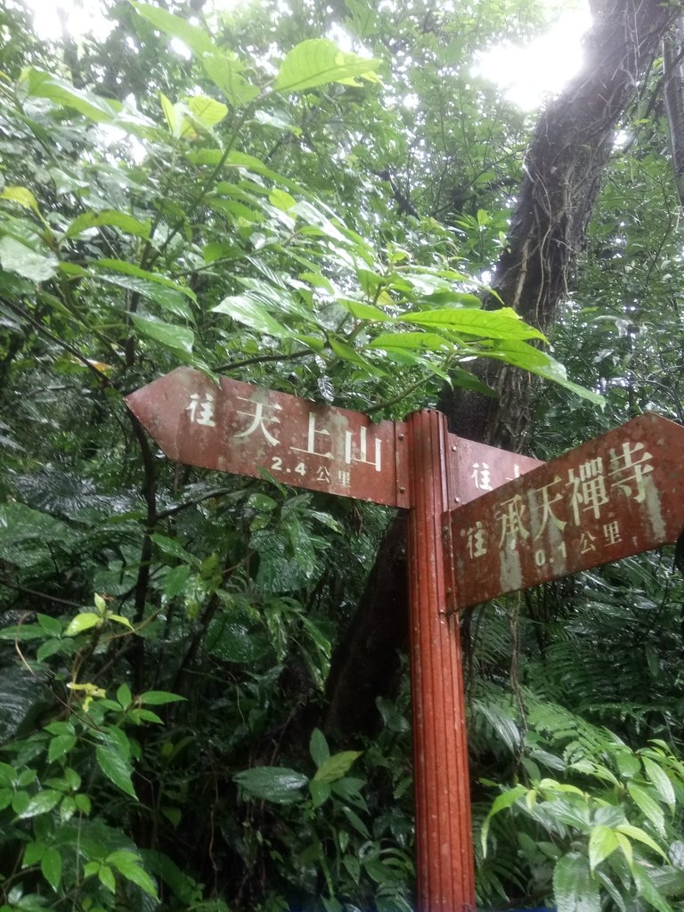 DSC_1713.JPG - 土城  天上山  登山步道