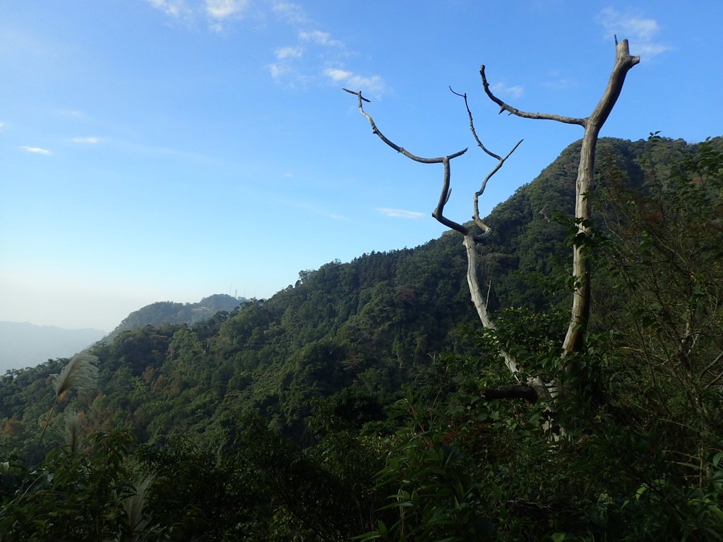 PC010649.JPG - 獅潭  仙山