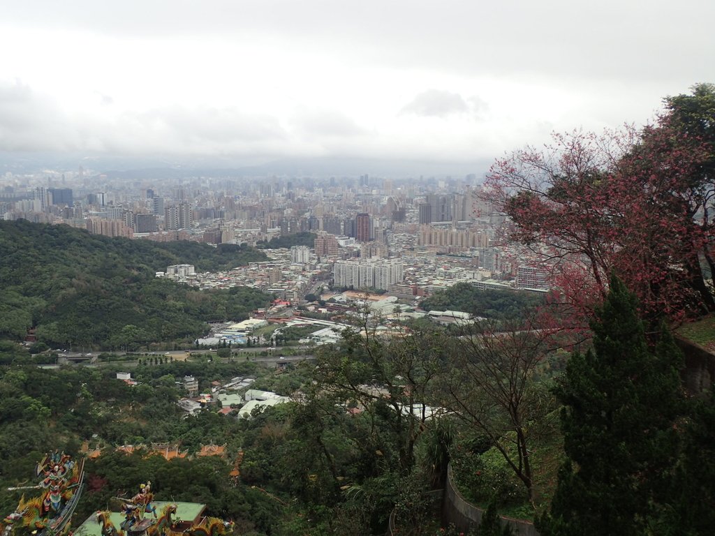 P2178184.JPG - 中和  南勢角山  (烘爐地)