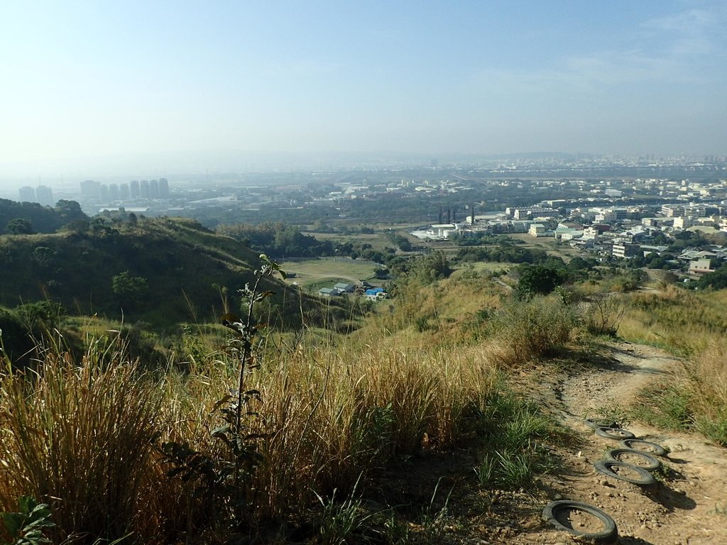 PA282013.JPG - 烏日  學田山登山步道