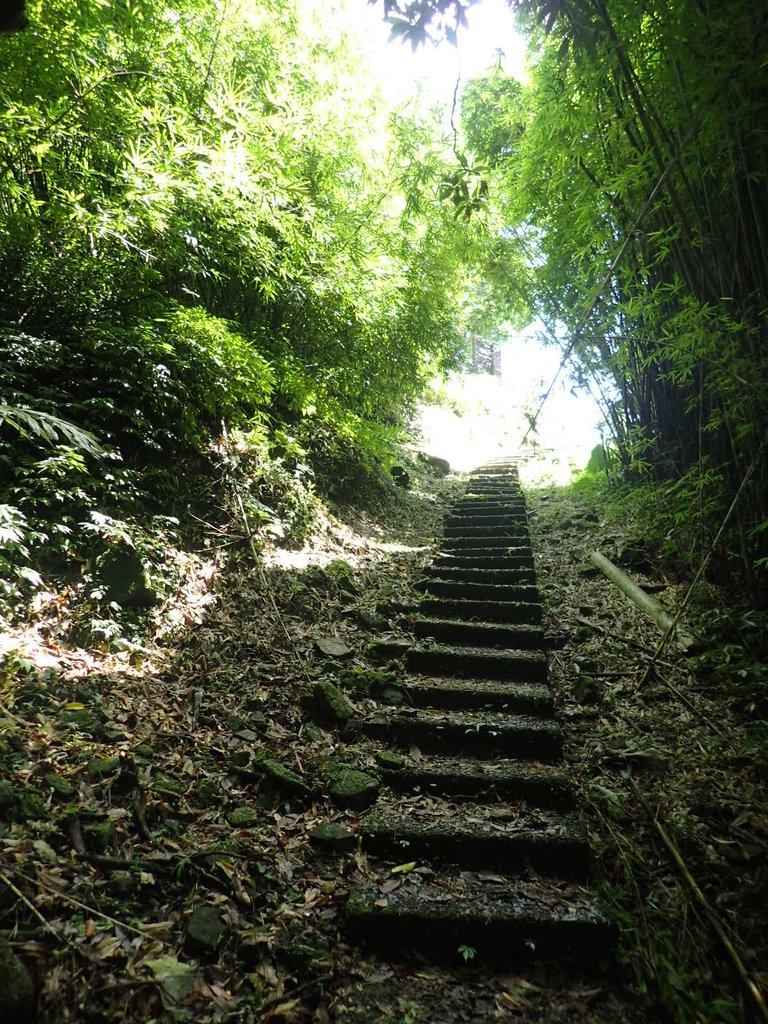 P7203842.JPG - 瑞芳  五分山登山步道