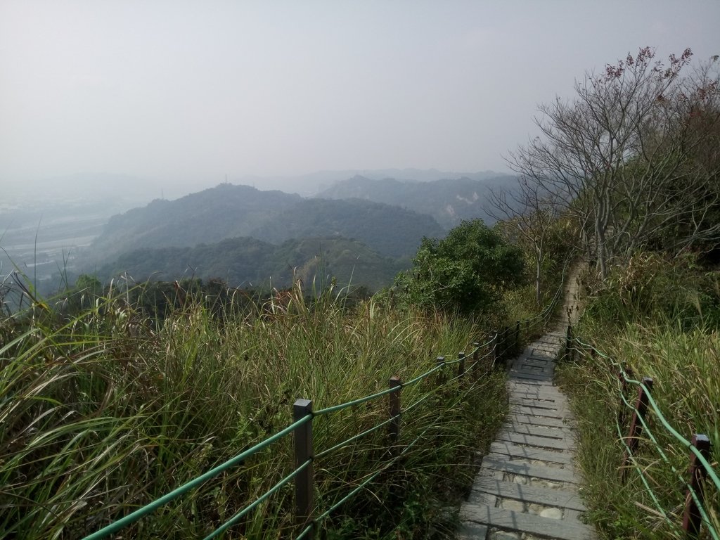 DSC_7353.JPG - 草屯平林  九九峰森林步道