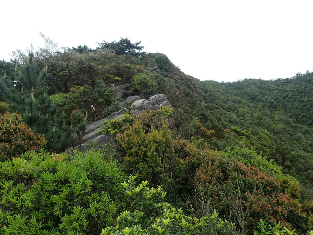 P3160064.JPG - 汐止  柯子林山  如意湖