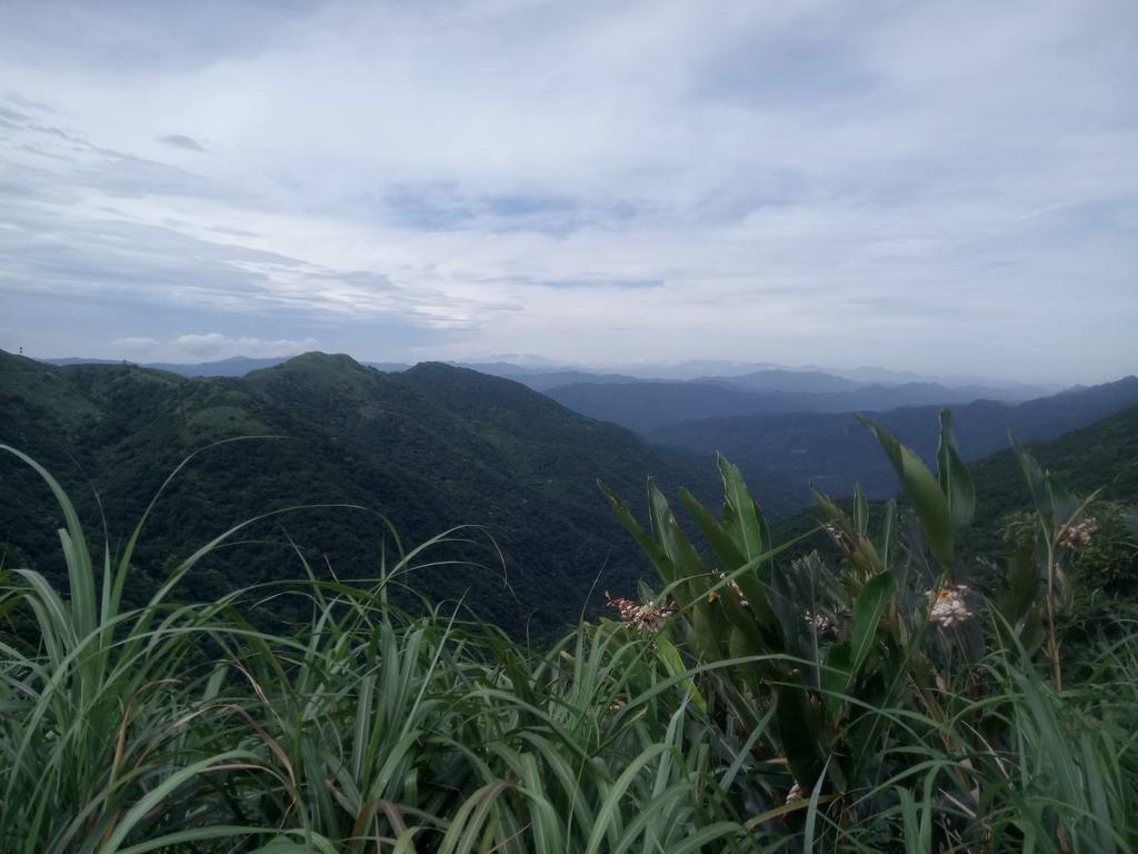 DSC_3392.JPG - 瑞芳  小金瓜山露頭