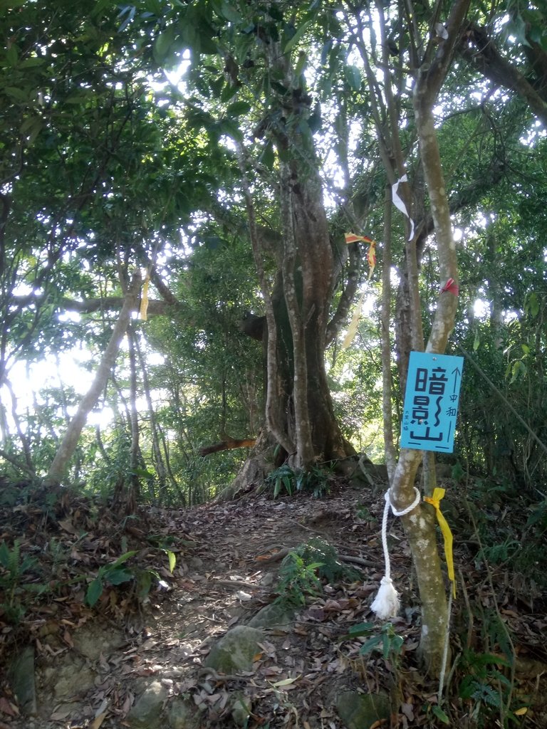 DSC_6887.JPG - 太平  暗影山(酒桶山)