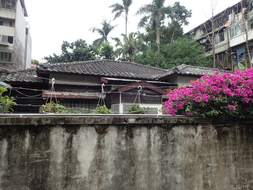 P4292461.JPG - 台北  街路隨拍  (07)