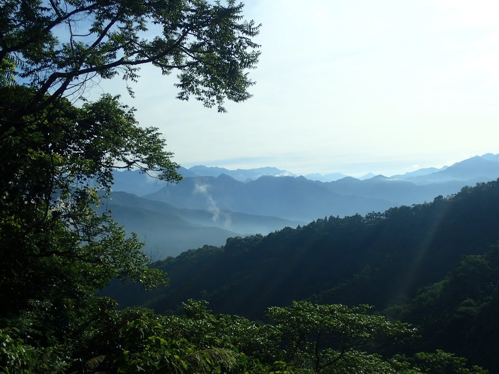 P6284769.JPG - 國姓  大橫屏山