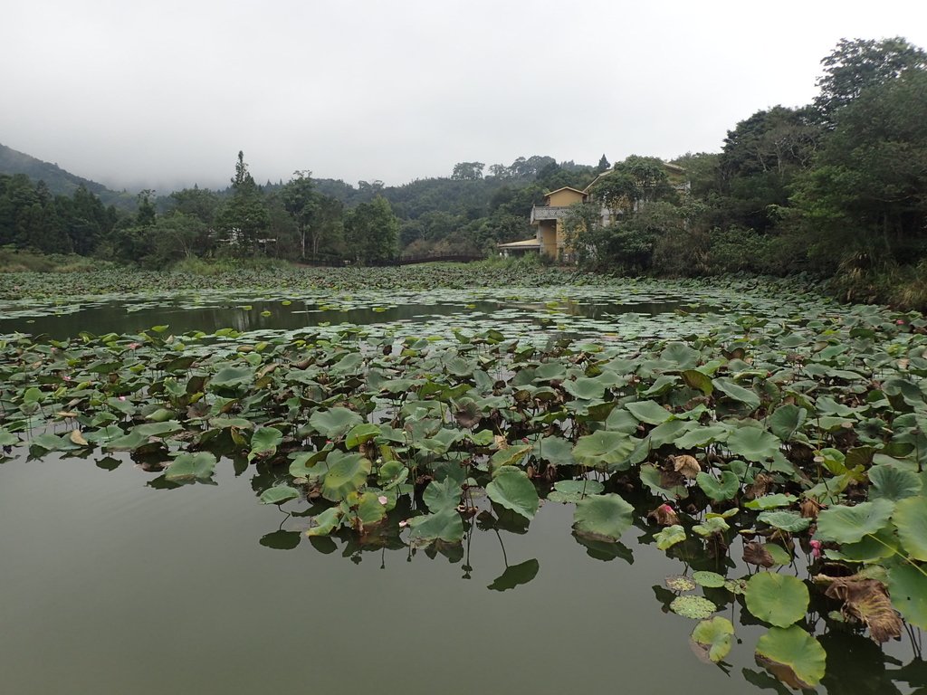 P9250268.JPG - 南庄  向天湖之  環湖步道