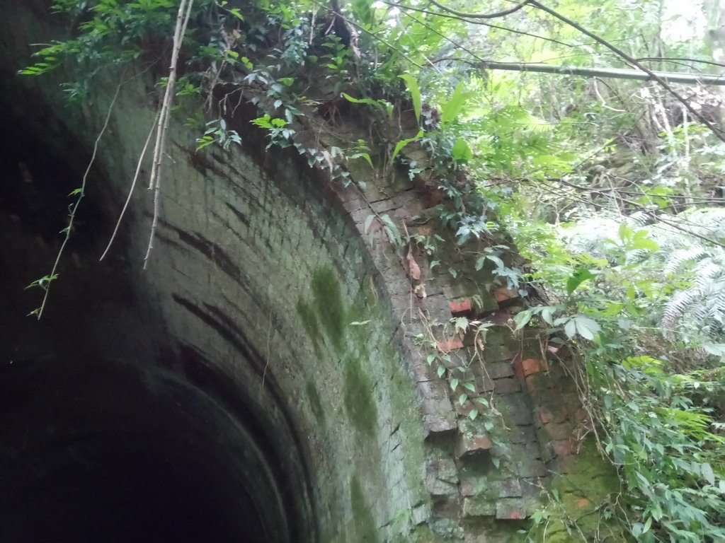 DSC_4135.JPG - 魚池  大尖山  鹽土坑林道