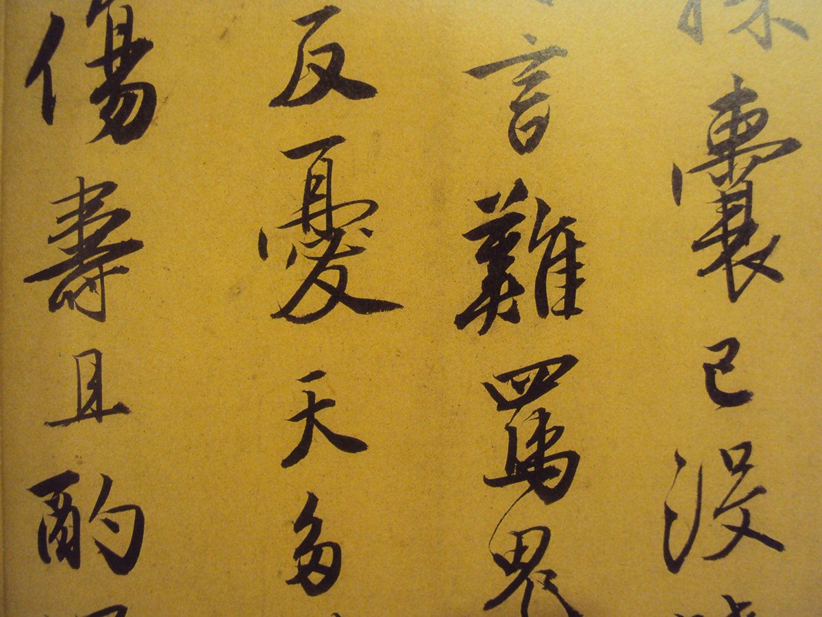 DSC01638.JPG - 唐寅的書法表現