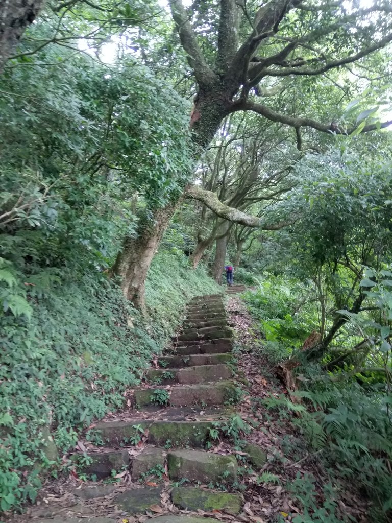 DSC_6918.JPG - 北投  面天山  向天湖步道