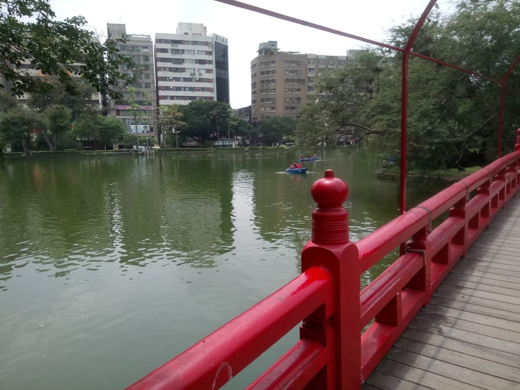 DSC_9921.JPG - 散步  台中公園一隅