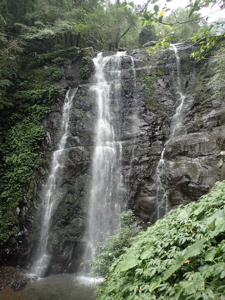 P3028999.JPG - 三峽  滿月圓森林遊樂區