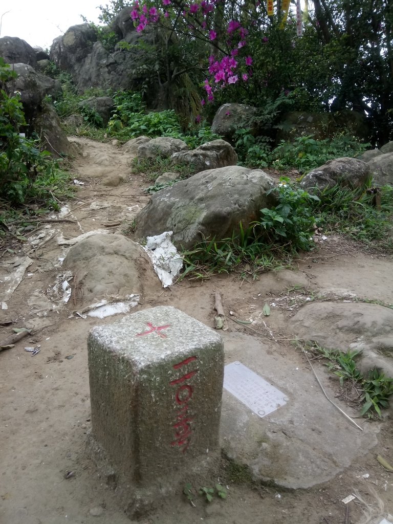 DSC_5181.JPG - 三峽  鳶山  (福德坑山)