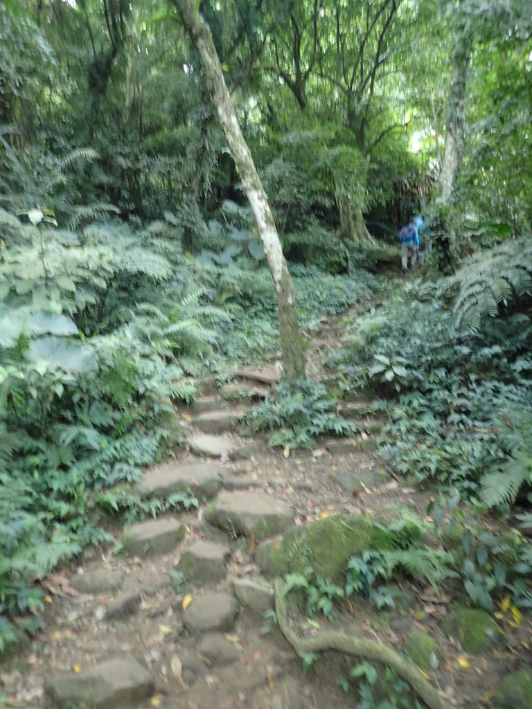 P2107473.JPG - 大溪  溪洲山登山步道