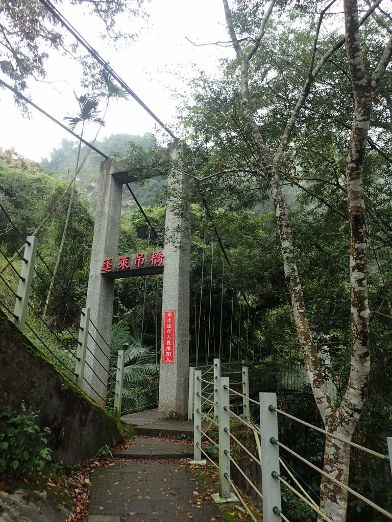 PA231563.JPG - 草嶺  蓬萊瀑布步道