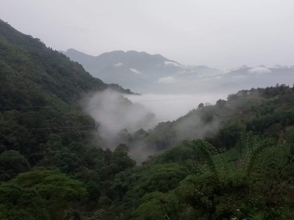 DSC_1377.JPG - 石壁途中之   茶山雲雨