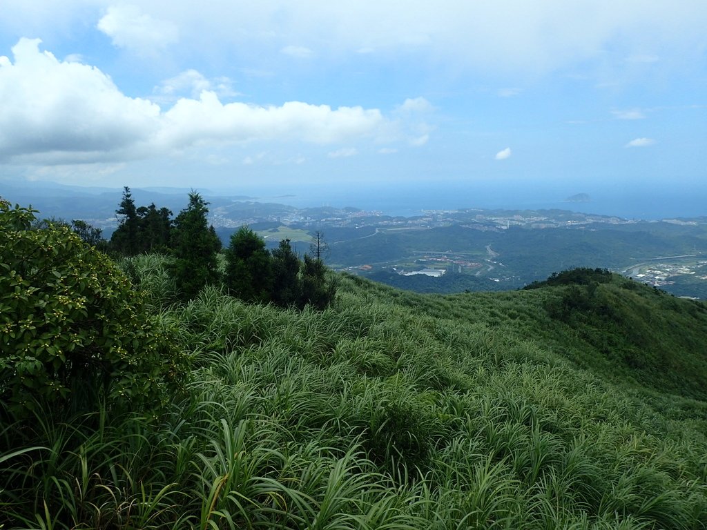 P7203861.JPG - 瑞芳  五分山登山步道