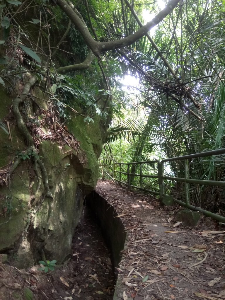 DSC_0578.JPG - 鹿谷  長源圳古道