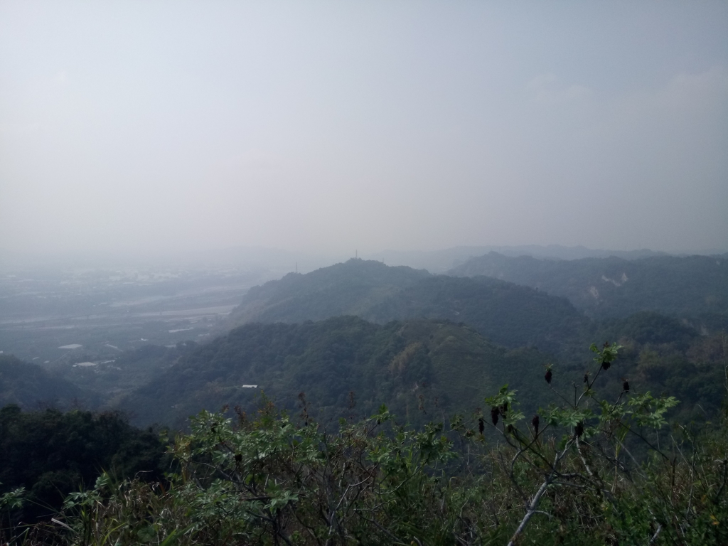 DSC_7354.JPG - 草屯平林  九九峰森林步道