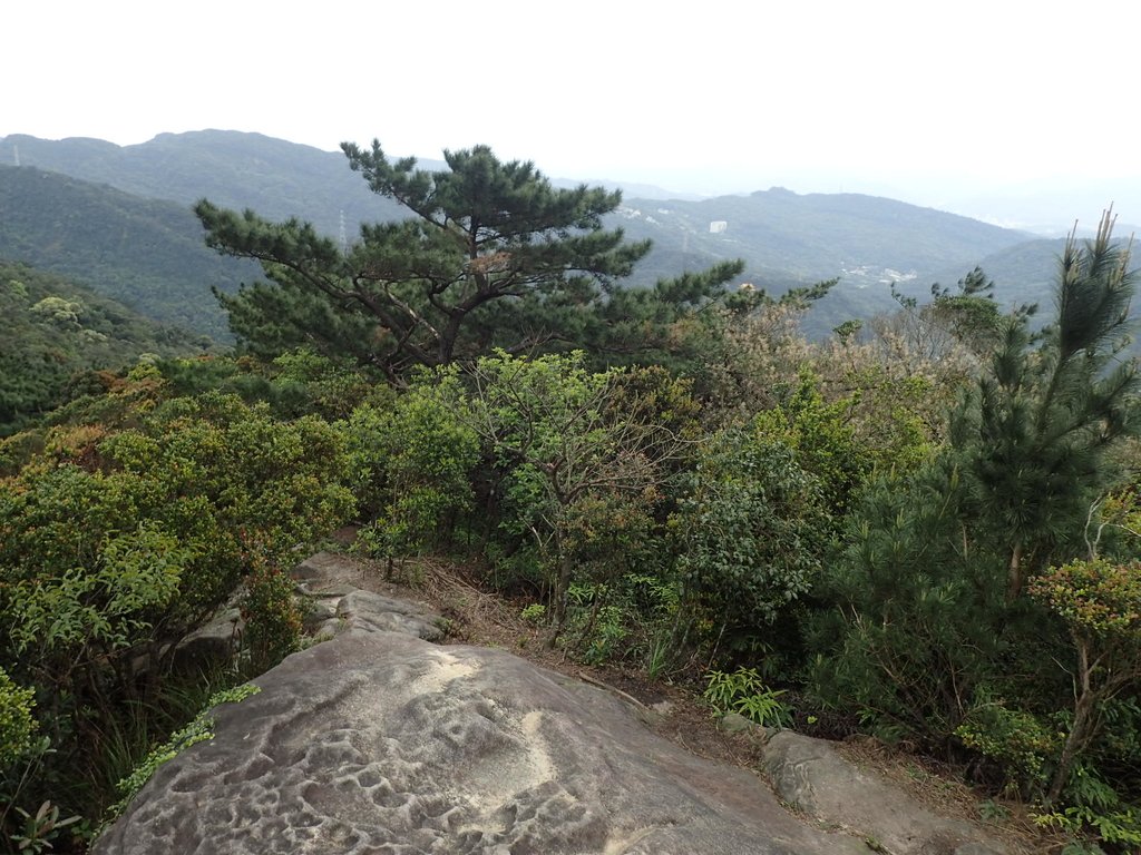 P3160065.JPG - 汐止  柯子林山  如意湖