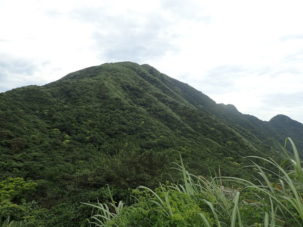 P6090129.JPG - 瑞芳  小金瓜山露頭