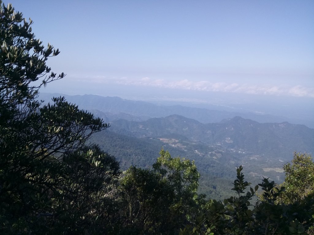 DSC_3613.JPG - 南庄  大坪林道  杜鵑嶺