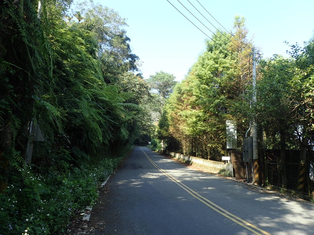 PA040342.JPG - 魚池  過坑山登山步道