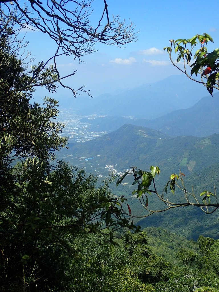 PA040465.JPG - 魚池  大尖山登山步道