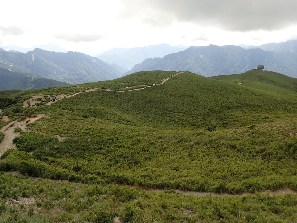 P7245994.JPG - 合歡山  北峰之美  (中)