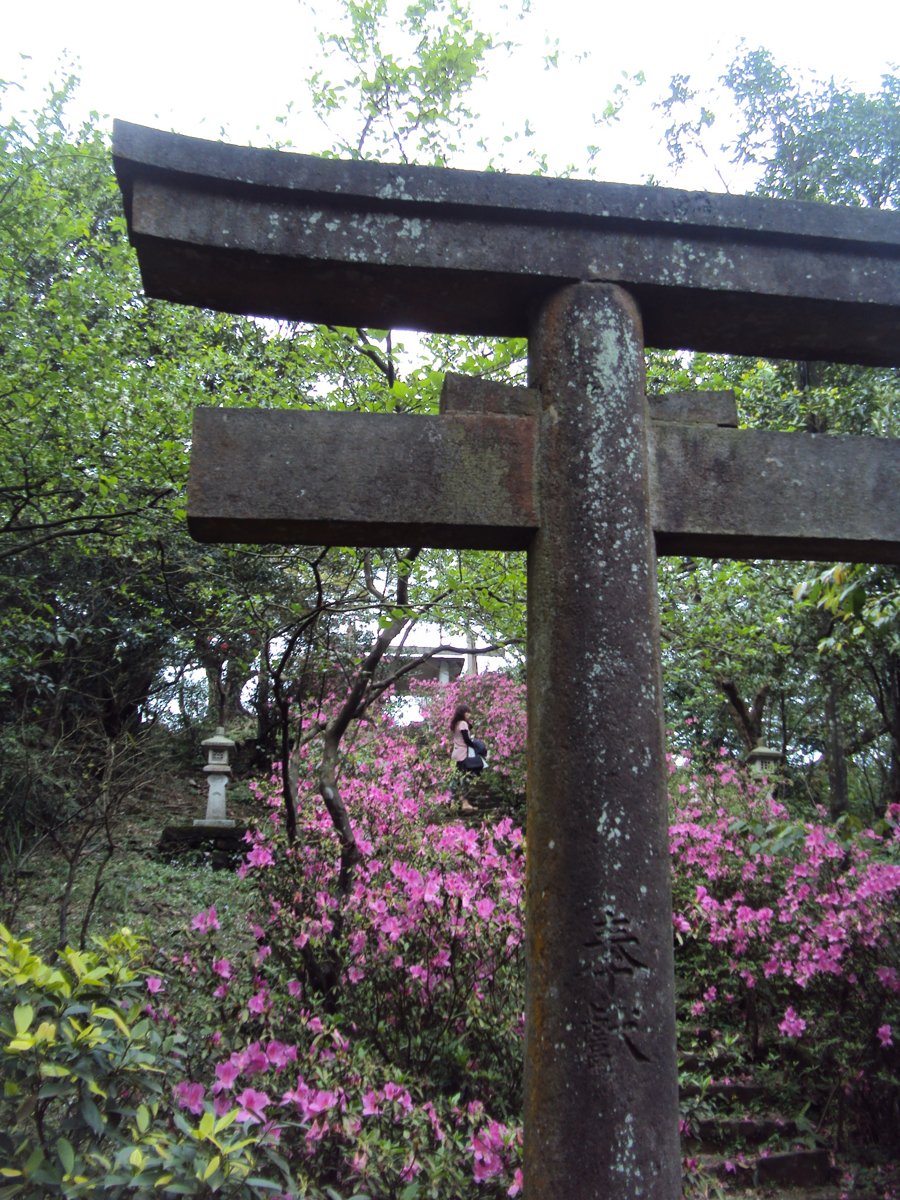 DSC07059.JPG - 再訪  侯硐神社