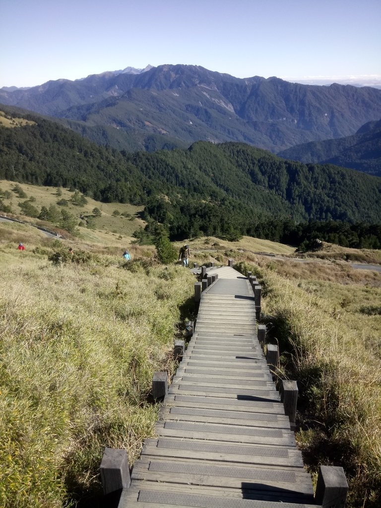 DSC_6643.JPG - 合歡山  東峰