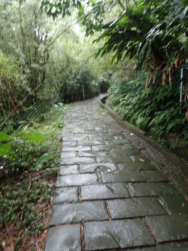 P1062025.JPG - 土城  天上山  登山步道