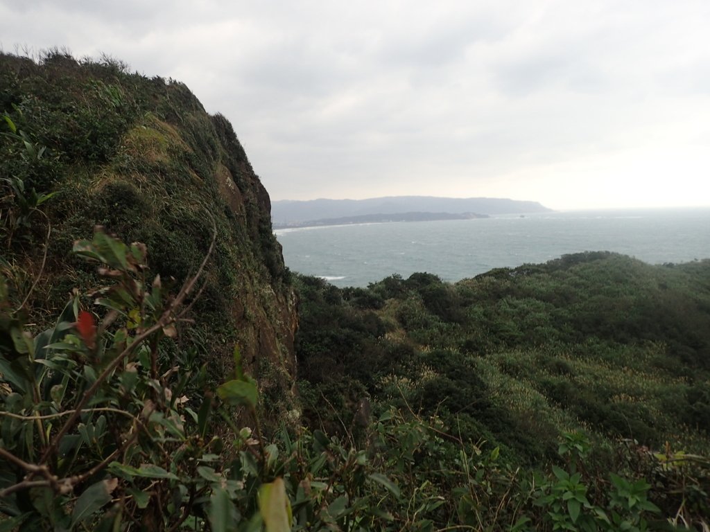 P1264020.JPG - 野柳  北八斗山稜線步道