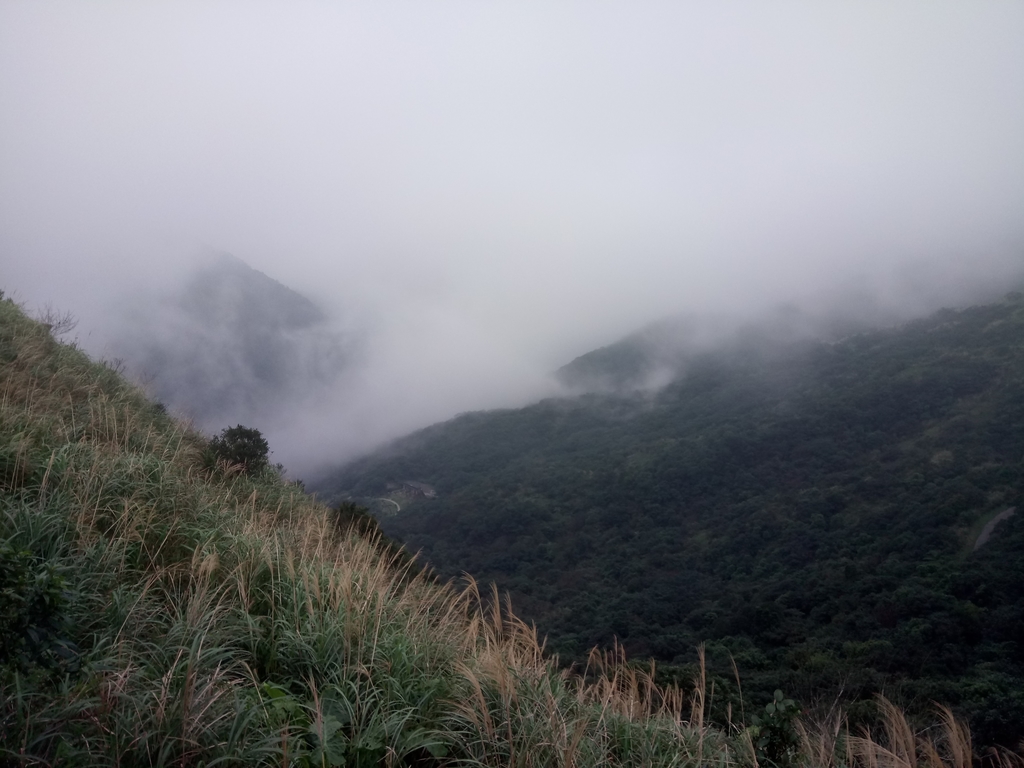 DSC_2901.JPG - 瑞芳  牡丹山