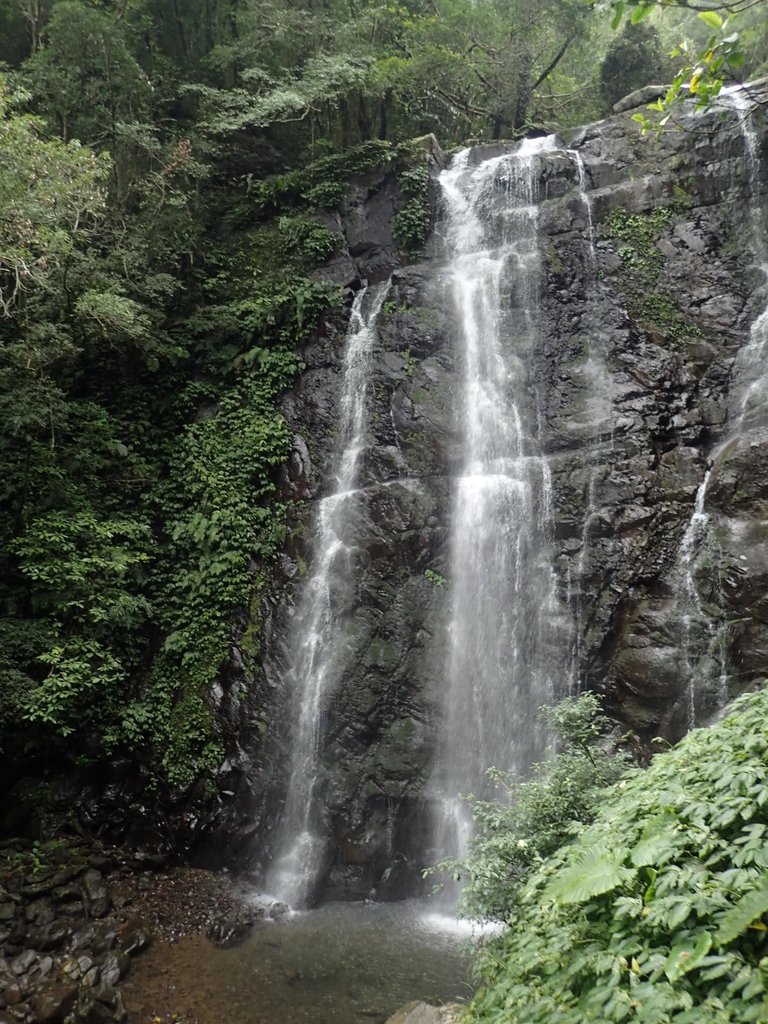 P3029000.JPG - 三峽  滿月圓森林遊樂區