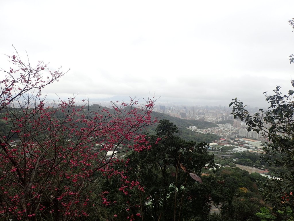 P2178176.JPG - 中和  南勢角山  (烘爐地)