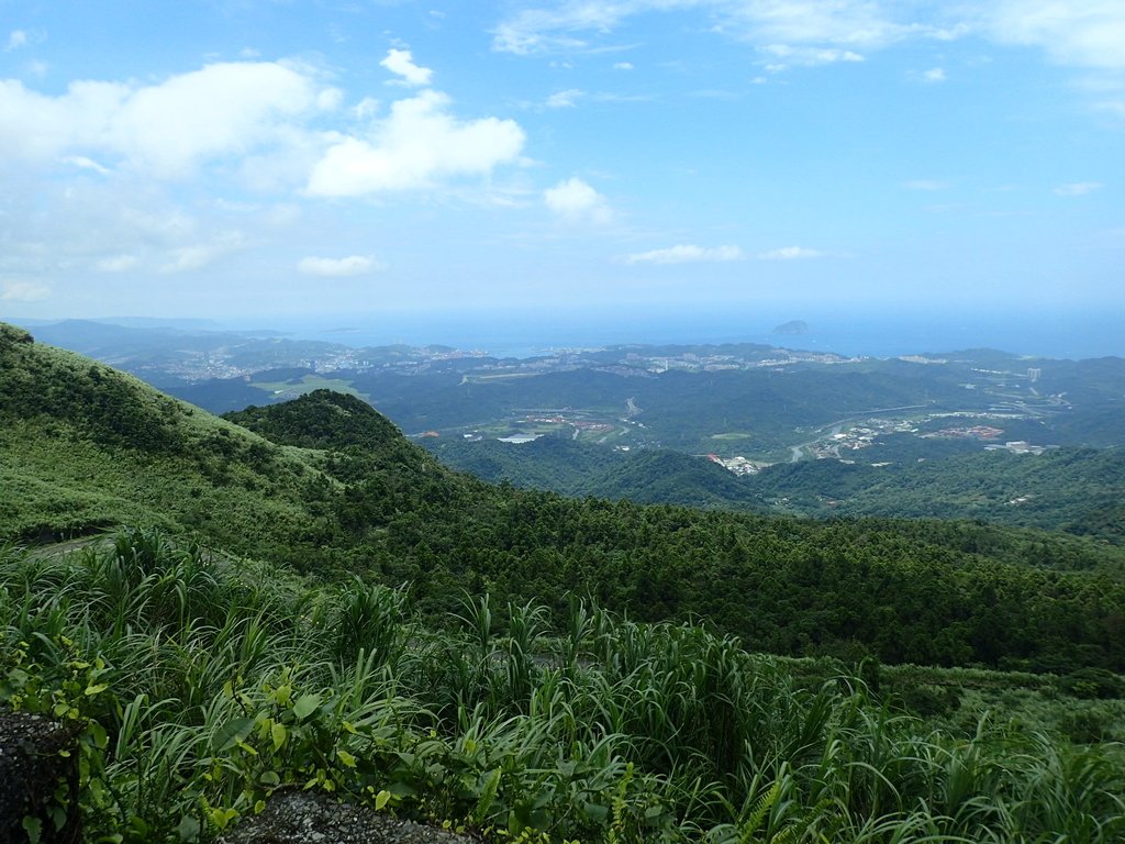 P7203874.JPG - 瑞芳  五分山登山步道