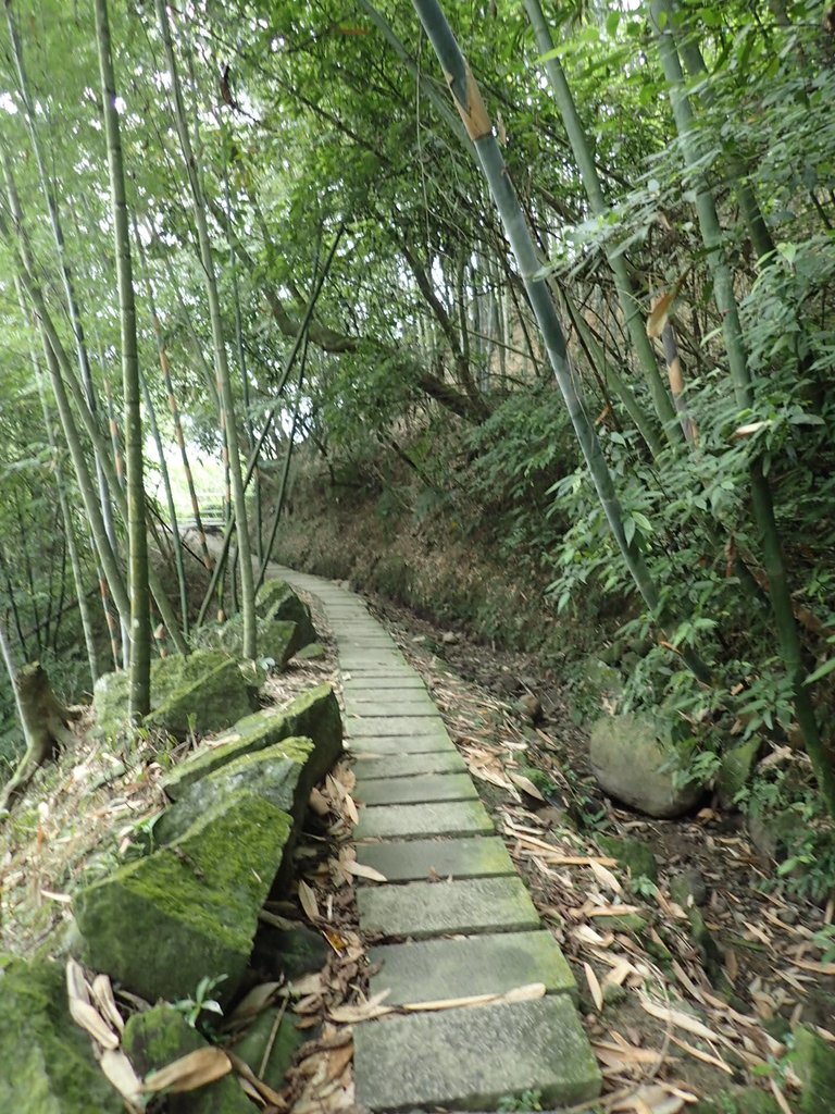 PA171275.JPG - 鹿谷  長源圳古道