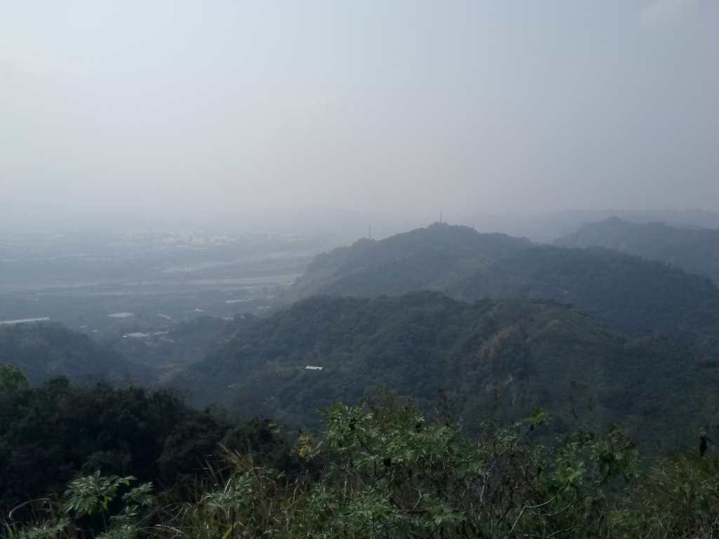 DSC_7358.JPG - 草屯平林  九九峰森林步道