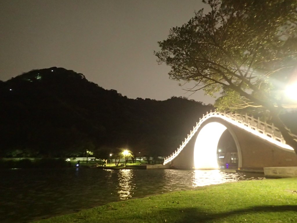 P3116989.JPG - 內湖  大湖公園之夜色