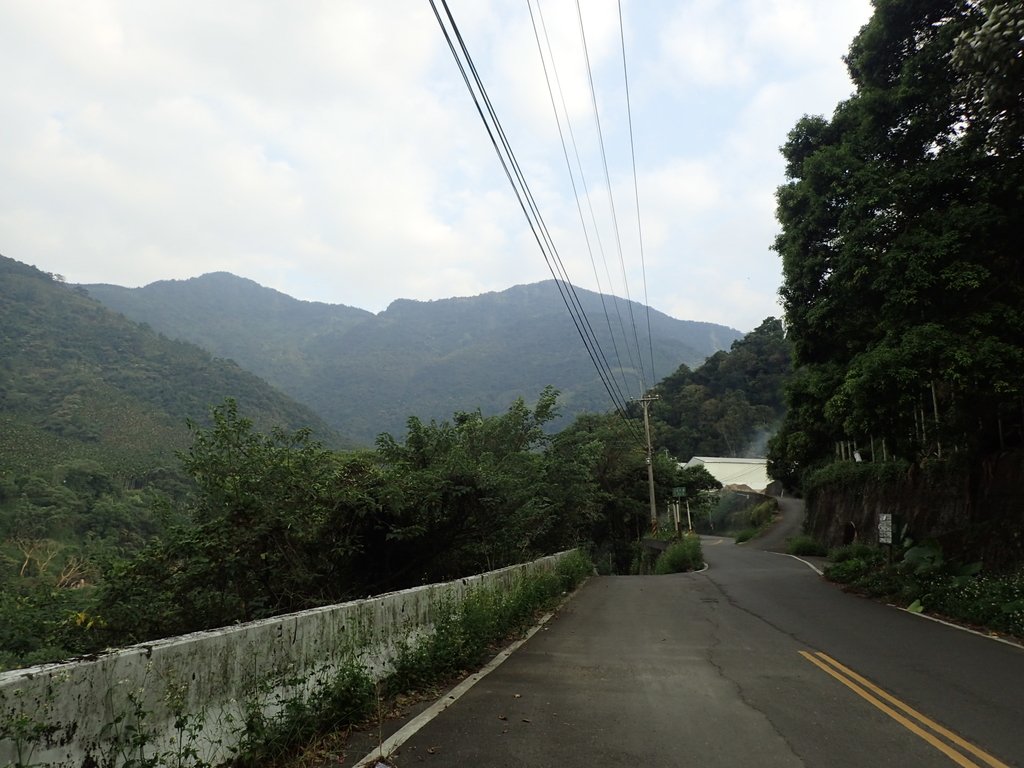 PA040507.JPG - 魚池  大尖山  鹽土坑林道