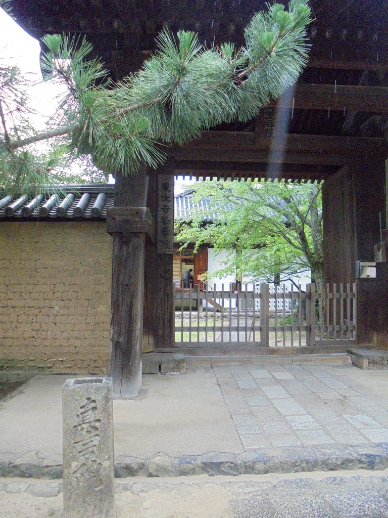 DSC03890.JPG - 奈良  東大寺