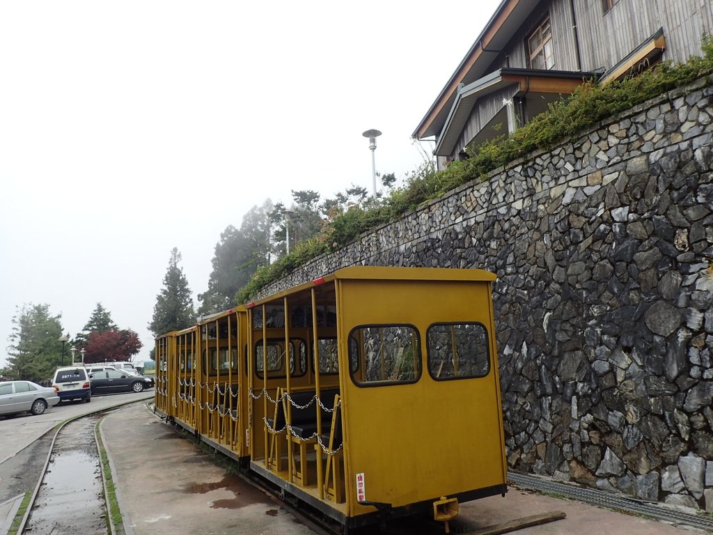 P8226832.JPG - 大同  太平山森林遊樂區