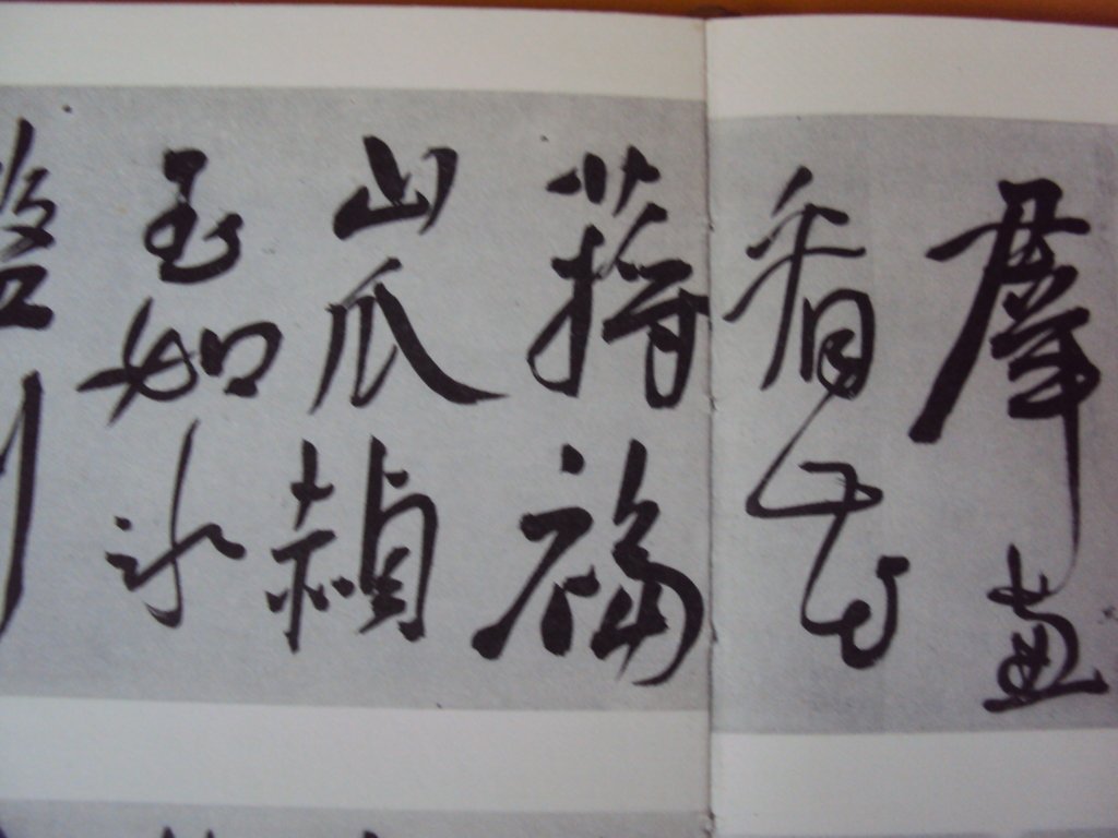 DSC00215.JPG - 王寵  草書作品